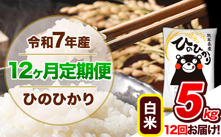 【12ヶ月定期便】令和7年産 定期便 白米 ひのひかり 5kg 《お申込み翌月から出荷》令和7年産 熊本県産｜人気米 熊本県産米 お米 生活応援米---hn7tei_138000_5kg_mo12_gkt_h---
