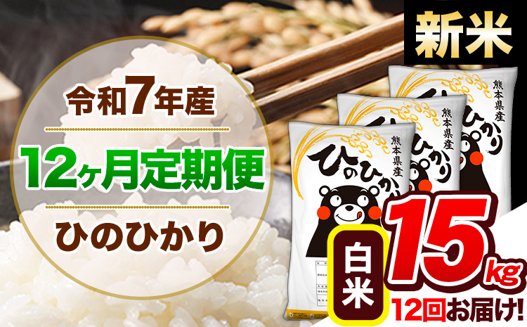 【12ヶ月定期便】新米 令和7年産 定期便 白米 ひのひかり 15kg 《お申込み翌月から出荷》令和7年産 熊本県産｜人気米 熊本県産米 お米 生活応援米---hn7tei_414000_15kg_mo12_gkt_h---