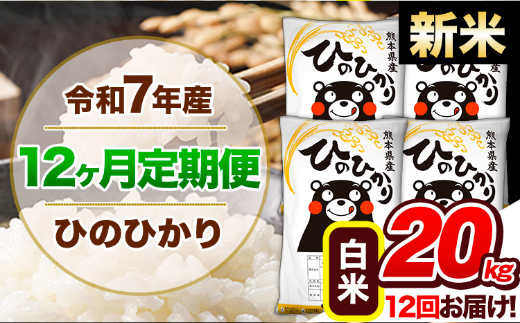 【12ヶ月定期便】新米 令和7年産 定期便 白米 ひのひかり 20kg 《お申込み翌月から出荷》令和7年産 熊本県産｜人気米 熊本県産米 お米 生活応援米---hn7tei_552000_20kg_mo12_gkt_h---
