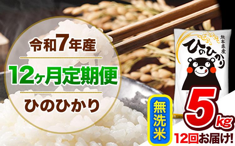 【12ヶ月定期便】令和7年産 定期便 無洗米 ひのひかり 5kg 《お申込み翌月から出荷》令和7年産 熊本県産｜人気米 熊本県産米 お米 生活応援米---hn7tei_132000_5kg_mo12_gkt_m---
