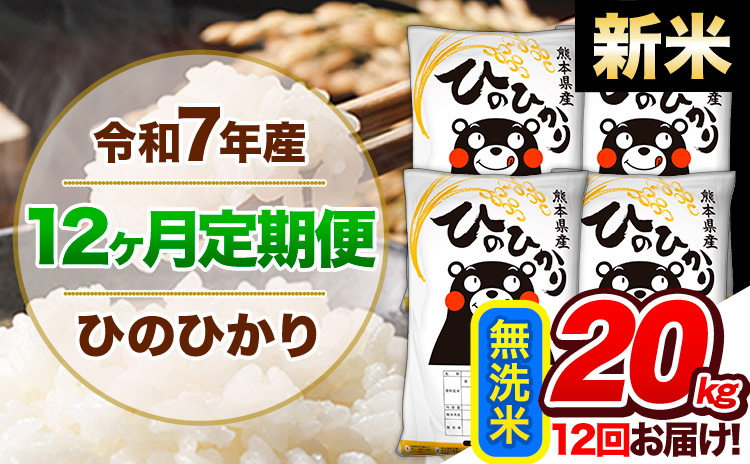 【12ヶ月定期便】新米 令和7年産 定期便 無洗米 ひのひかり 20kg 《お申込み翌月から出荷》令和7年産 熊本県産｜人気米 熊本県産米 お米 生活応援米---hn7tei_552000_20kg_mo12_gkt_m---