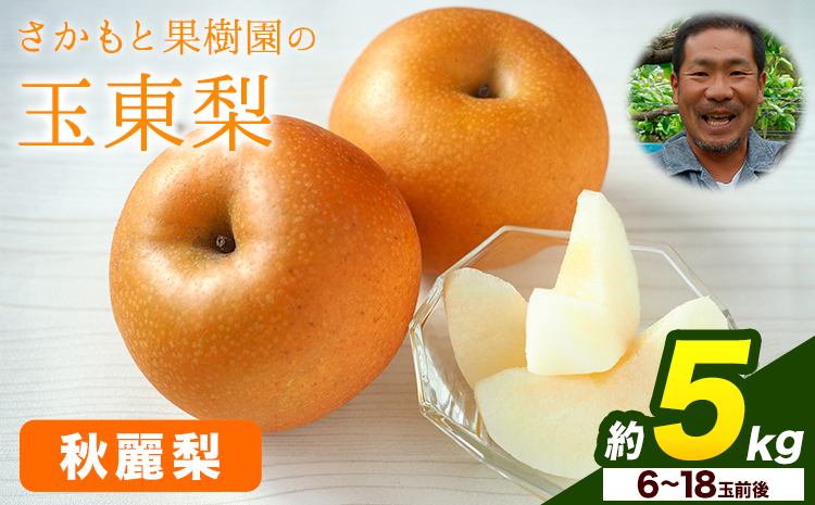さかもと果樹園の玉東梨 秋麗梨 約5kg (6玉-18玉前後) 《8月中旬-8月下旬頃出荷》【日付指定・品種指定不可】 熊本県玉名郡玉東町 梨 なし 果物 フルーツ 秋麗---sg_csksyurei_b8_r8_15500_5kg---