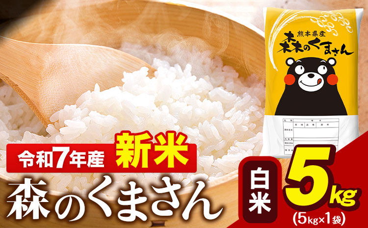 新米 令和7年産  白米 森のくまさん 5kg 5kg × 1袋  熊本県産 単一原料米 森くま《7-14日以内に出荷予定(土日祝除く)》 ｜人気米 熊本県産米 お米 生活応援米---gkt_mk7_wx_11500_5kg_h---