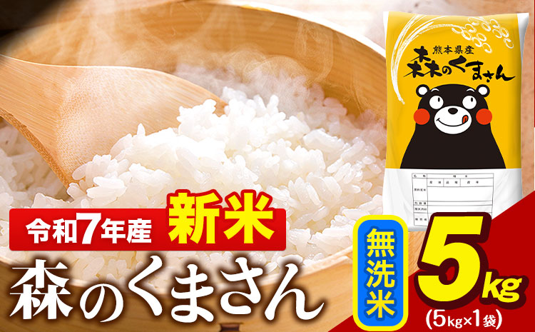 新米 令和7年産 無洗米  森のくまさん 5kg 5kg × 1袋  熊本県産 単一原料米 森くま《7-14日以内に出荷予定(土日祝除く)》 ｜人気米 熊本県産米 お米 生活応援米---gkt_mk7_wx_11500_5kg_m---