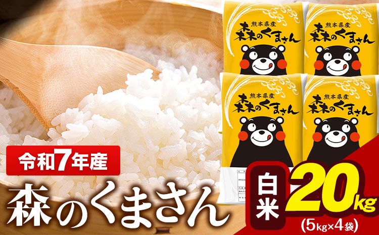 令和7年産 白米  森のくまさん 20kg 5kg × 4袋  熊本県産 単一原料米 森くま《7-14日以内に出荷予定(土日祝除く)》 ｜人気米 熊本県産米 お米 生活応援米---gkt_mk7_wx_36500_20kg_h---