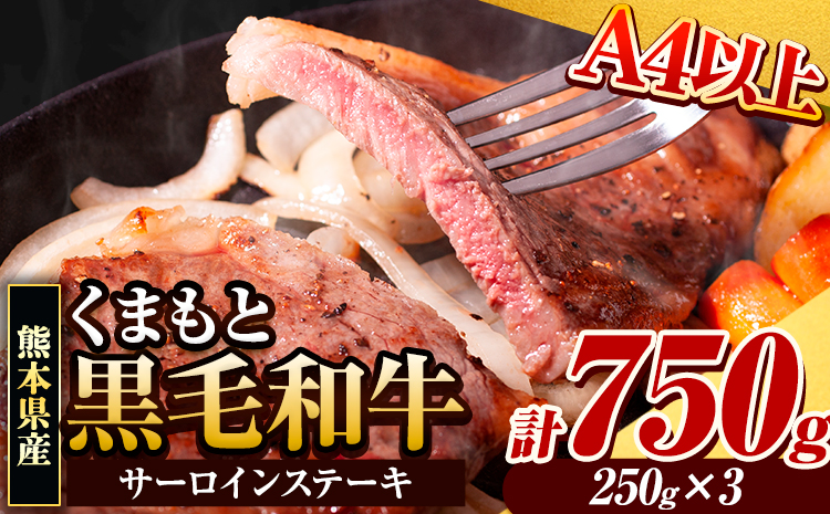 くまもと黒毛和牛 サーロインステーキ 750g (250g×3枚) 牛肉 冷凍 《30日以内に出荷予定(土日祝除く)》 くまもと黒毛和牛 黒毛和牛 冷凍庫 個別 取分け 小分け 個包装 ステーキ肉 にも サーロインステーキ---gkt_fsaro_30d_r8_21000_750g---