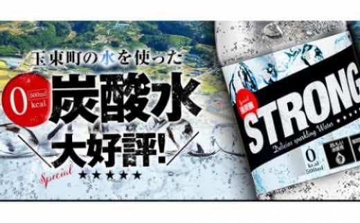 500ml×48本強炭酸水 《11月下旬-1月末頃出荷予定(土日祝除く)》くまもと風土の強炭酸水たっぷり24Lストロング炭酸水 ---gkt_strong_cf111_r7_13000_24l--- 500ml×48本 (1回)
