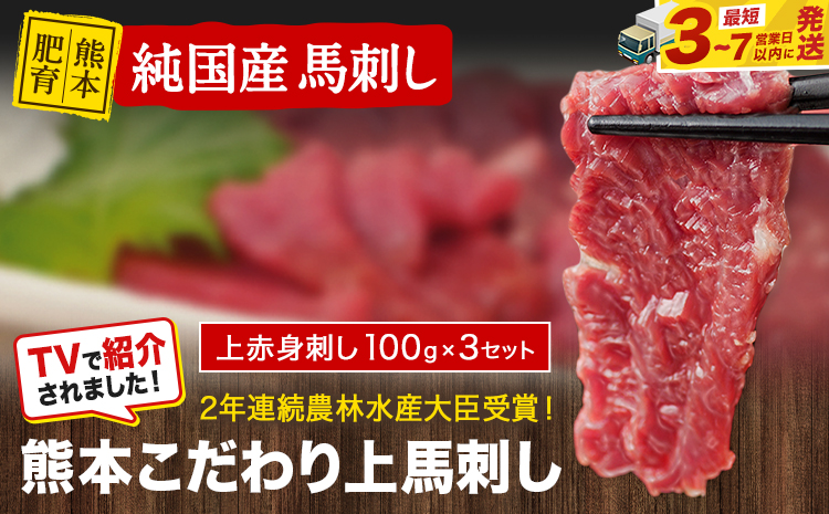 馬刺し 上赤身 ブロック 《3-7日以内に出荷予定(土日祝除く) 国産 熊本肥育 冷凍 生食用 たれ付 100g×3セット 肉 絶品 ---gkt_fkgakm_u_r8_11000_300gt---