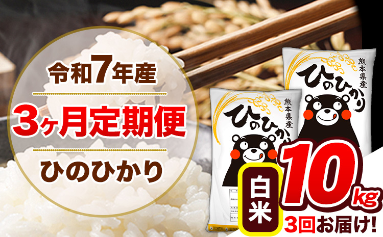 【3ヶ月定期便】令和7年産 定期便 白米 ひのひかり 10kg 《お申込み翌月から出荷》令和7年産 熊本県産｜人気米 熊本県産米 お米 生活応援米---hn7tei_69000_10kg_mo3_gkt_h---