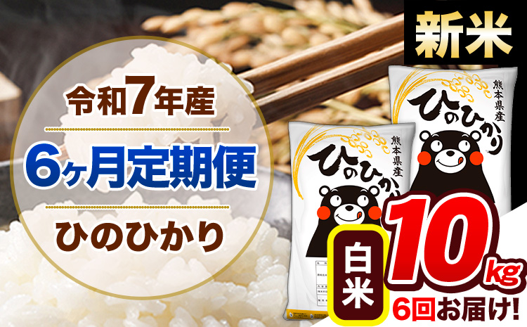 【6ヶ月定期便】新米 令和7年産 定期便 白米 ひのひかり 10kg 《お申込み翌月から出荷》令和7年産 熊本県産｜人気米 熊本県産米 お米 生活応援米---hn7tei_138000_10kg_mo6_gkt_h---