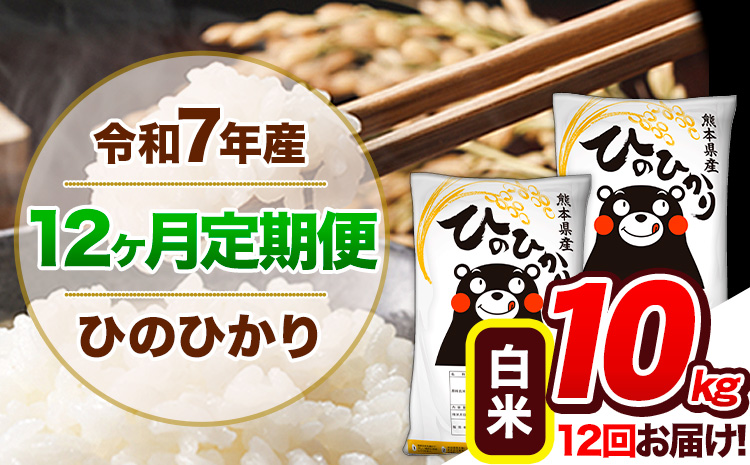 【12ヶ月定期便】令和7年産 定期便 白米 ひのひかり 10kg 《お申込み翌月から出荷》令和7年産 熊本県産｜人気米 熊本県産米 お米 生活応援米---hn7tei_258000_10kg_mo12_gkt_h---