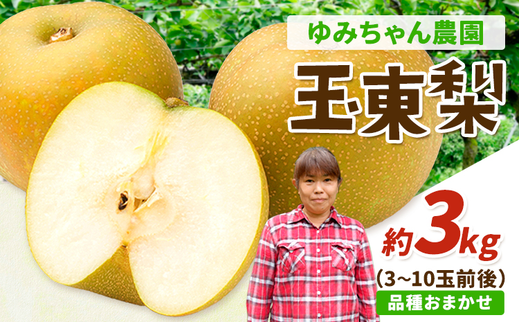 ゆみちゃん農園の玉東梨 約3kg(3～10玉前後) 《2026年8月下旬-10月上旬頃出荷》  梨 なし 果物 フルーツ---sg_cyuminashi_l810_r8_12500_3kg---