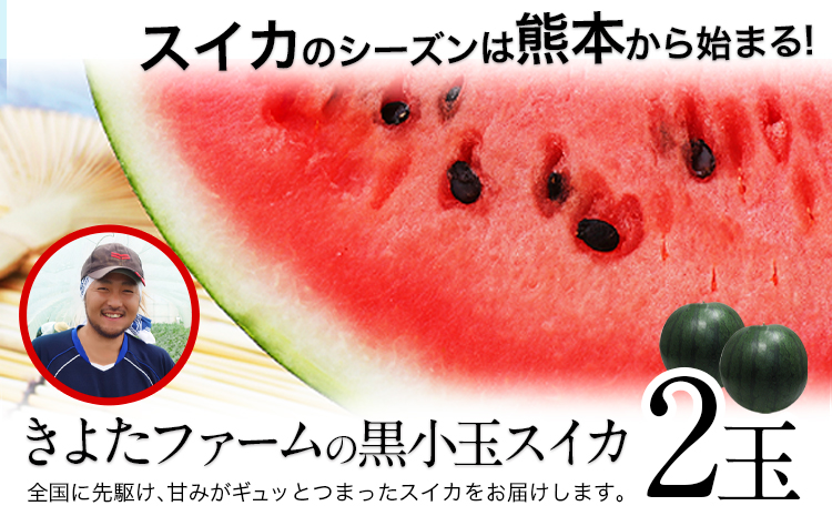 【先行予約】『きよたファーム』の黒小玉すいか2玉セット 1玉約2.5-4kg前後 『きよたファーム』《2026年7月上旬-8月中旬頃出荷》---sg_kfkodama_ae7_r7_13500_2p---