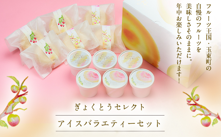 ぎょくとうセレクトアイスバラエティーセット  アイス モナカ ぷらっとぎょくとう《60日以内に出荷予定(土日祝除く)》---sg_fgkticevari_60d_26_19000---