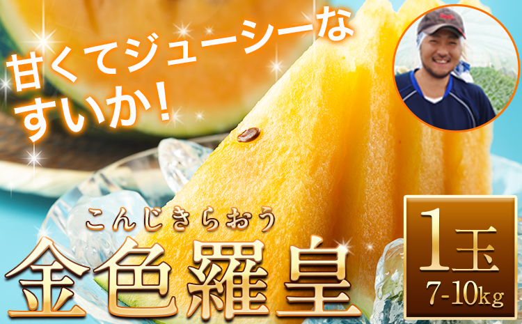 【先行予約】【日付指定不可】『きよたファーム』の黄色すいか1玉 《2026年5月上旬-7月中旬頃出荷》『きよたファーム』すいか 果物 産 黄色---sg_kfkonjiki_ae57_r7_16000_1p---