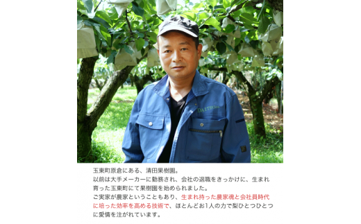 【日付指定不可】『清田果樹園』の原倉梨 《9月上旬-10月上旬頃出荷》 約5kg 6-14玉前後  あきづき 豊水梨 熊本---sg_ckiyotanashi_ad9_r7_14000_5kg--- st-p