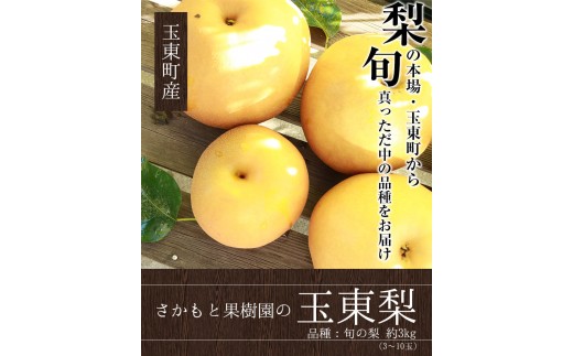 さかもと果樹園の玉東梨 約3kg (3玉-10玉前後) 《8月中旬-9月末頃出荷》【日付指定・品種指定不可】 ---sg_csksyun_bc8_r8_12000_3kg---