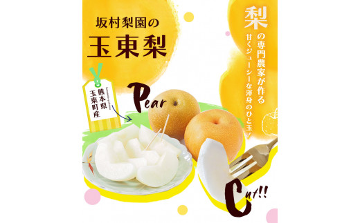 坂村梨園 玉東梨  約3kg(4～10玉前後) 梨 なし 果物 旬の梨 《8月中旬-11月上旬頃出荷》---sg_cmuranashi_g811_r7_12000_3kg---