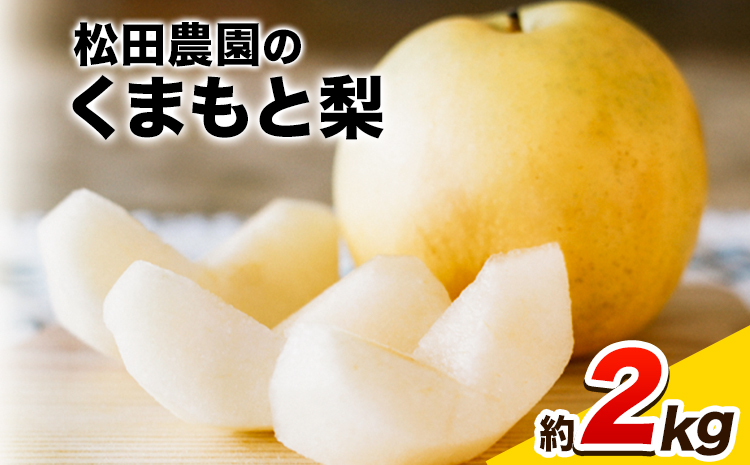 【日付指定不可】 『松田農園』の くまもと 梨 約2kg 熊本県玉名郡玉東町『松田農園』なし 《7月下旬-9月末頃出荷》---sg_cmatsunashi_cf79_r7_10000_2kg---