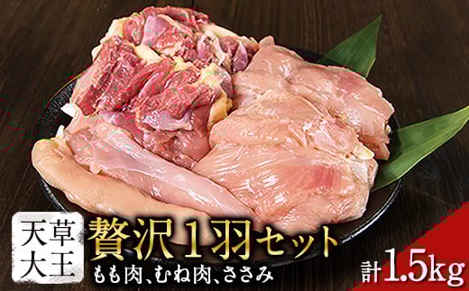 天草大王 贅沢1羽セット 約1.5kg【幻の地鶏】もも・むね・ささみ 各2枚《60日以内に出荷予定(土日祝除く)》---dg_faso1wa_60d_r7_17500_1500g---