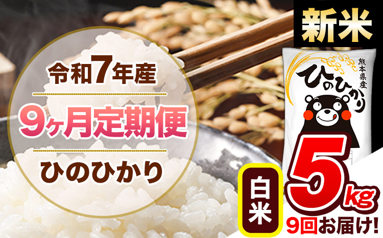 【9ヶ月定期便】新米 令和7年産 白米 定期便 ひのひかり 5kg 《お申込み翌月から出荷》熊本県産 ふるさと納税 白米 精米 ひの 米 こめ ふるさとのうぜい ヒノヒカリ コメ 熊本米 ひのもり---hn7tei_103500_5kg_mo9_gkt_h---