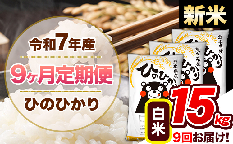 【9ヶ月定期便】新米 令和7年産 白米 定期便 ひのひかり 15kg 《お申込み翌月から出荷》熊本県産 ふるさと納税 白米 精米 ひの 米 こめ ふるさとのうぜい ヒノヒカリ コメ 熊本米 ひのもり---hn7tei_310500_15kg_mo9_gkt_h---