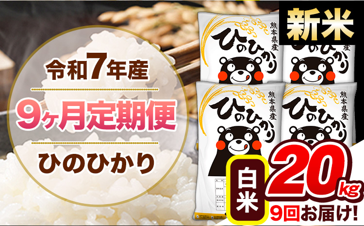 【9ヶ月定期便】新米 令和7年産 白米 定期便 ひのひかり 20kg 《お申込み翌月から出荷》熊本県産 ふるさと納税 白米 精米 ひの 米 こめ ふるさとのうぜい ヒノヒカリ コメ 熊本米 ひのもり---hn7tei_414000_20kg_mo9_gkt_h---