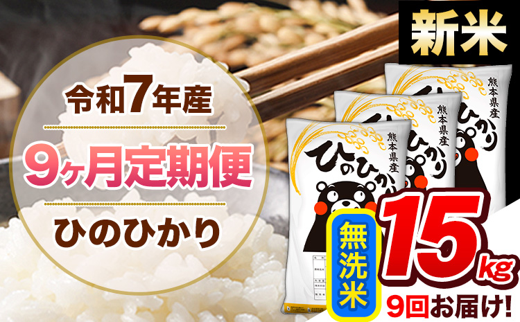 【9ヶ月定期便】新米 令和7年産 無洗米 定期便 ひのひかり 15kg 《お申込み翌月から出荷》 熊本県産 ふるさと納税 精米 ひの 米 こめ ふるさとのうぜい ヒノヒカリ コメ 熊本米 ひのもり---hn7tei_310500_15kg_mo9_gkt_m---