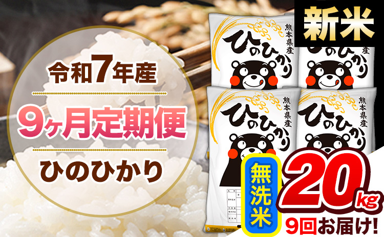 【9ヶ月定期便】新米 令和7年産 無洗米 定期便 ひのひかり 20kg 《お申込み翌月から出荷》 熊本県産 ふるさと納税 精米 ひの 米 こめ ふるさとのうぜい ヒノヒカリ コメ 熊本米 ひのもり---hn7tei_414000_20kg_mo9_gkt_m---