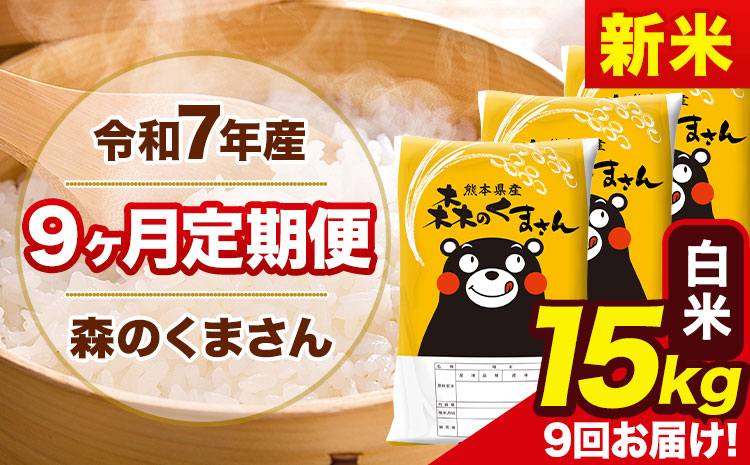 【9ヶ月定期便】新米 令和7年産 白米 定期便 森のくまさん 15kg 森くま 《お申込み翌月から出荷》熊本県産 単一原料米 森くま 熊本県 玉東町---mk7tei_310500_15kg_mo9_gkt_h---