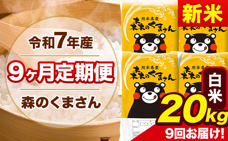 【9ヶ月定期便】新米 令和7年産 白米 定期便 森のくまさん 20kg 森くま 《お申込み翌月から出荷》熊本県産 単一原料米 森くま 熊本県 玉東町---mk7tei_414000_20kg_mo9_gkt_h---