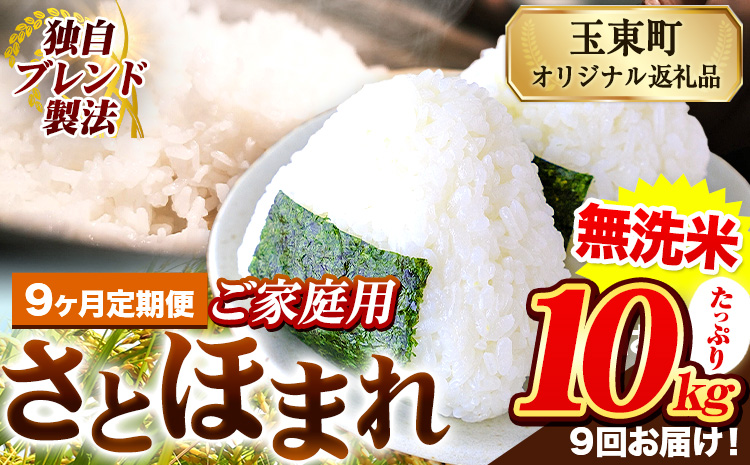 【9ヶ月定期便】熊本県産 さとほまれ 無洗米 ご家庭用 定期便 10kg 《お申込み翌月から出荷》熊本県 玉名郡 玉東町 米 こめ コメ ブレンド米 送料無料---gkt_sthmltei_10kg_193500_mo9---