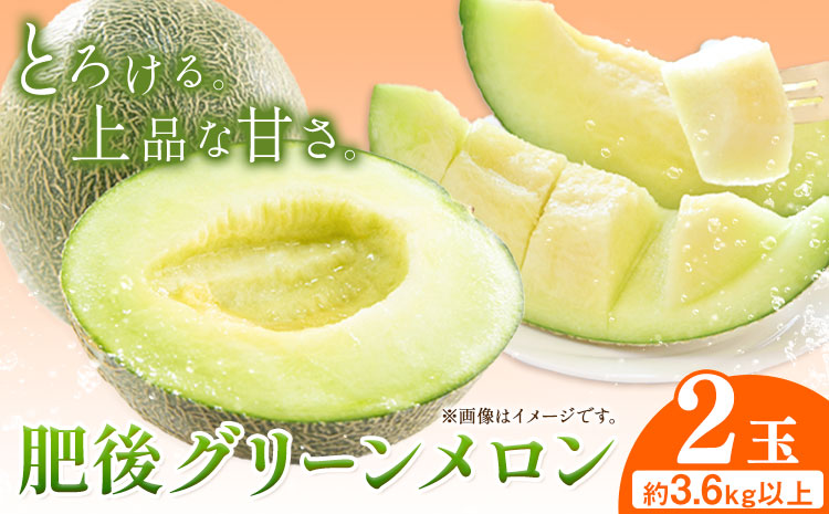 【先行予約】肥後グリーンメロン 2玉 児玉農園 1玉(1.8kg以上)《5月上旬-5月末頃出荷》メロン グリーンメロン 熊本県 玉東町 フルーツ 果物---sg_kdmhg_ac5_r7_14500_2i---