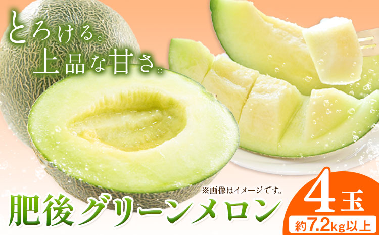 【先行予約】肥後グリーンメロン 4玉 児玉農園 1玉(1.8kg以上)《5月上旬-5月末頃出荷》メロン グリーンメロン 熊本県 玉東町 フルーツ 果物---sg_kdmhg_ac5_r7_27500_4i---