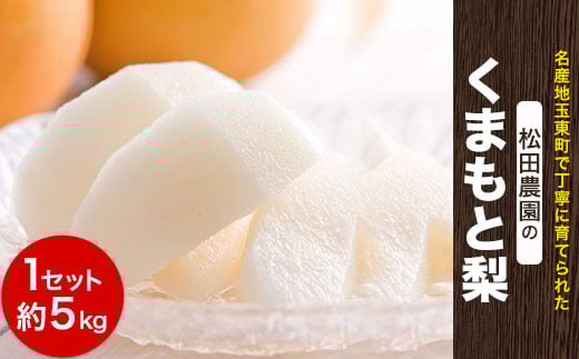 【日付指定不可】『松田農園』のくまもと梨約5kg 8-18玉前後  『松田農園』なし《7月下旬-9月末頃出荷》  果物 スイーツ---sg_cmatsunashi_cf79_r7_16000_5kg---