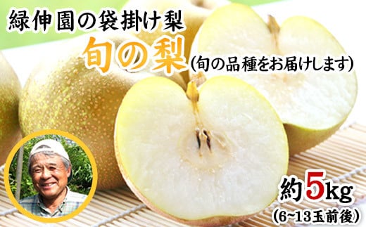 『緑伸園』旬の梨(旬の品種をお届けします！) 《8月中旬-9月下旬頃出荷》 約5kg 6-13玉前後入り 果物---sg_cryokunashi_k8_r7_14000_5kg---
