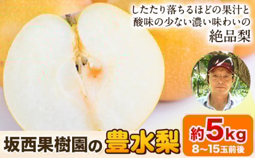 『坂西果樹園』の豊水梨 たっぷり約5kg(8-15玉前後)こだわり抜かれた栽培方法！《8月中旬-9月中旬頃出荷》  なし 豊水  ---sg_csknasi_q8_r8_14500_5kg---