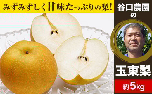 『谷口農園』の玉東梨 《8月中旬-10月上旬頃出荷》 約5kg前後(約6-16玉前後) 【日付指定・品種指定不可】 なし 果物---sg_ctaninashi_g810_r7_14000_5kg---