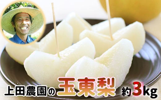 『上田農園』の玉東梨 《8月中旬-10月上旬頃出荷》 約3kg 3-10玉前後 『上田農園』なし ---sg_cuedanashi_g810_r7_12000_3kg---