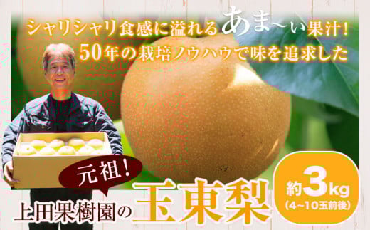 玉東梨(旬の品種をお届けします)約3kg(4玉～10玉) なし 果物上田果樹園 《7月下旬-9月下旬頃出荷》---sg_cuednasi_p79_r7_12000_3kg---