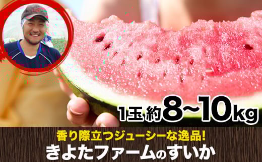 【先行予約】『きよたファーム』のすいか 1玉約8～10kg 熊本県玉名郡玉東町『きよたファーム』すいか フルーツ 《2026年5月下旬-6月下旬頃出荷》---sg_kfsuika_p5_r7_13500_1p---