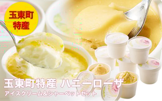 ハニーローザアイスクリーム＆ハニーローザシャーベット120ml×4個《60日以内に出荷予定(土日祝除く)》ぷらっとぎょくとう---sg_fhroicesha_60d_26_14500_8p---