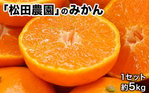 『松田農園』のみかんたっぷり約5kg (S-2Lサイズ)《11月上旬-1月下旬頃出荷》 手間暇かけたこだわりのミカン---sg_mtdmikan_ak111_r7_12500_5kg---