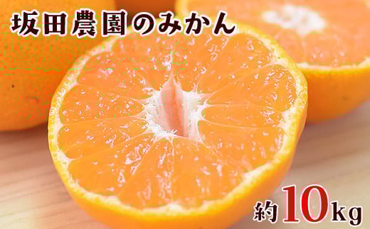 熊本県玉東町産限定『坂田農園』のみかん 大容量 約10kg(2S-Lサイズ)《10月上旬-1月末頃出荷》秋 ジャム ゼリー ---sg_sktsmk_af101_25_13500_10kg---