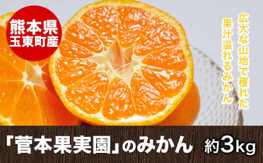 『菅本果実園』のみかん約3kg(2S-Lサイズ)  全国にファン多数！菅本さんのみかん《11月中旬-12月末頃出荷》---sg_sugamikan_bc11_25_10500_3kg---