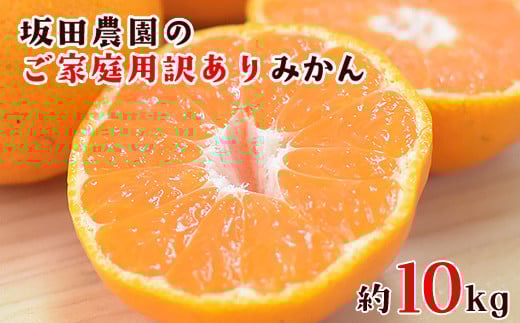 ご家庭用訳あり 『坂田農園』のご家庭用みかん 大容量 約10kg(2S-2Lサイズ)《10月上旬-1月末頃出荷》 ---sg_sktwmk_af101_25_11000_10kg---