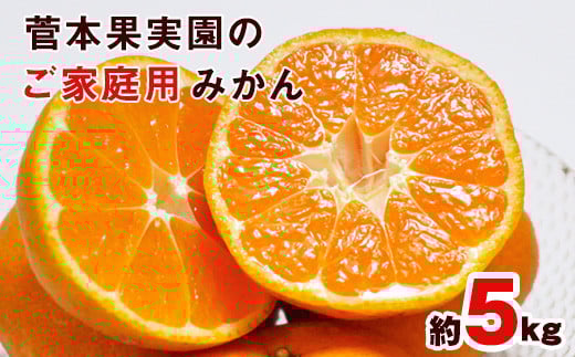 ご家庭用『菅本果実園』のご家庭用みかん約5kg(2S-2Lサイズ)《11月中旬-12月末頃出荷》 菅本さんのみかん♪---sg_wsugamikan_bc11_25_7000_5kg---