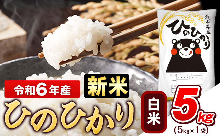 令和6年産新米 早期先行予約受付中 白米 ひのひかり 5kg[11月-12月より出荷予定]令和6年産 熊本県産 ふるさと納税 白米 精米 ひの 米 こめ ふるさとのうぜい ヒノヒカリ コメ お米 おこめ---gkt_hn6_af11_24_10000_5kg_h---