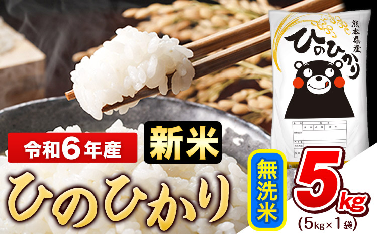 令和6年産新米 早期先行予約受付中 無洗米 ひのひかり 5kg[11月-12月より出荷予定]令和6年産 熊本県産 ふるさと納税 無洗米 精米 ひの 米 こめ ふるさとのうぜい ヒノヒカリ コメ お米 おこめ---gkt_hn6_af11_24_10000_5kg_m---