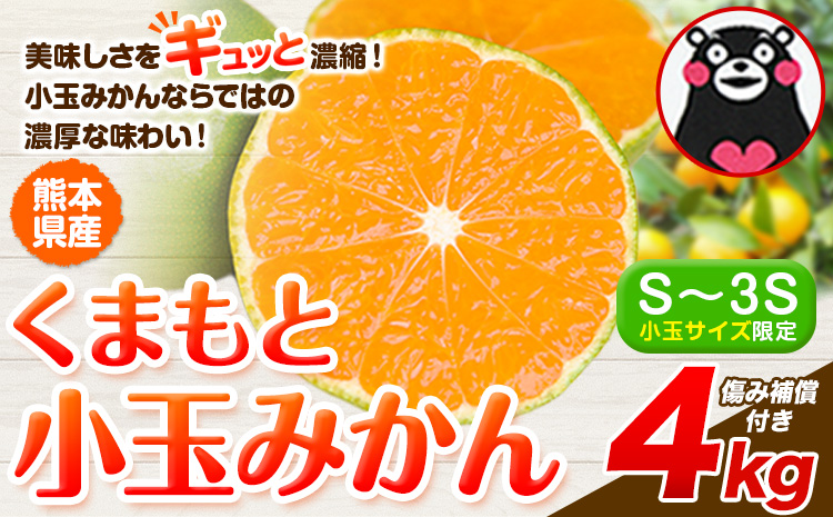 訳あり みかん 小玉みかん くまもと小玉みかん 4kg 秋 旬 不揃い 傷 ご家庭用 SDGs 小玉 たっぷり 熊本県 産 S-3Sサイズ フルーツ 旬 柑橘 熊本県産 温州みかん[7-14日以内に出荷予定(土日祝除く)]---gkt_mkn_24_wx_4500_4kg---